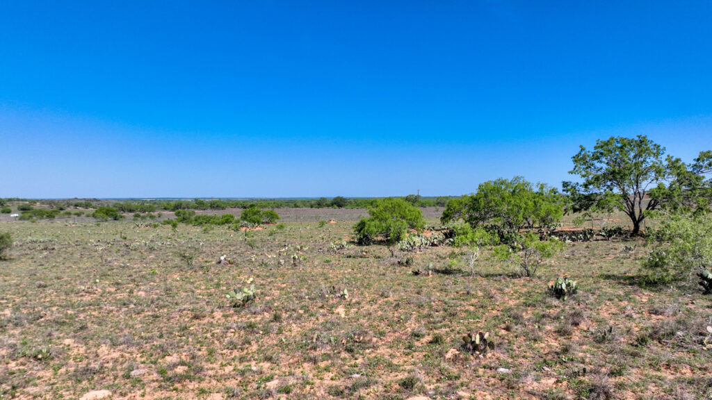 Scattered brush on Double 3 Ranch