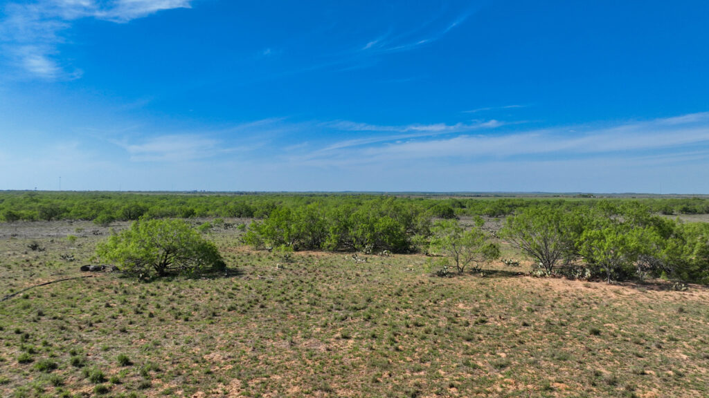 Brush and pasture views on Double 3 Ranch