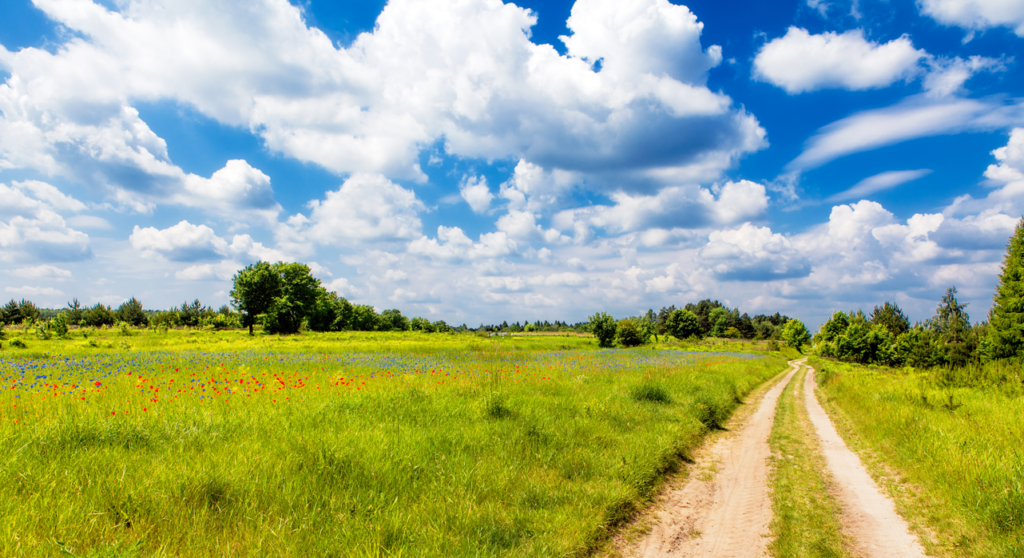 Texas ranch land