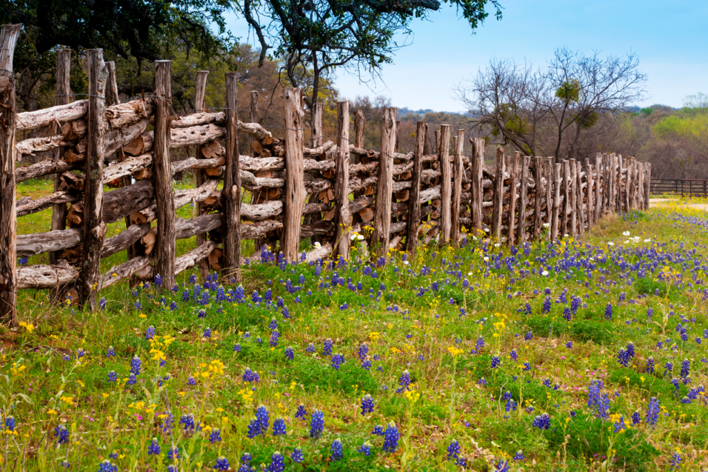 Texas ranch land