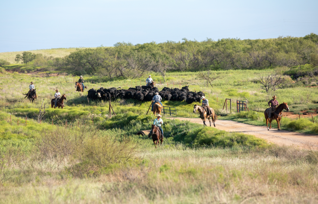 Texas ranch real estate with rolling brush country views