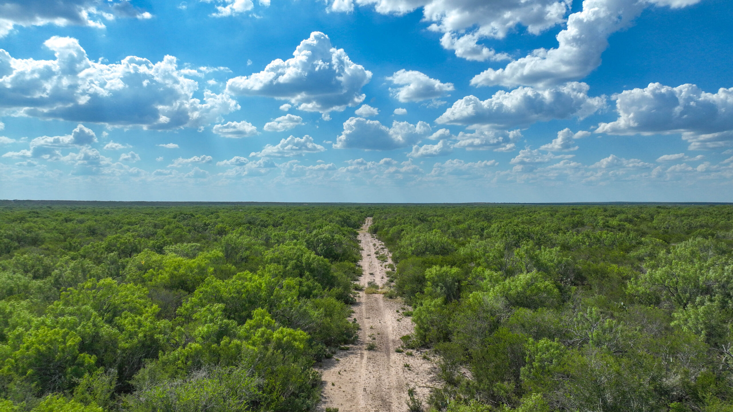 111+- County Line Ranch