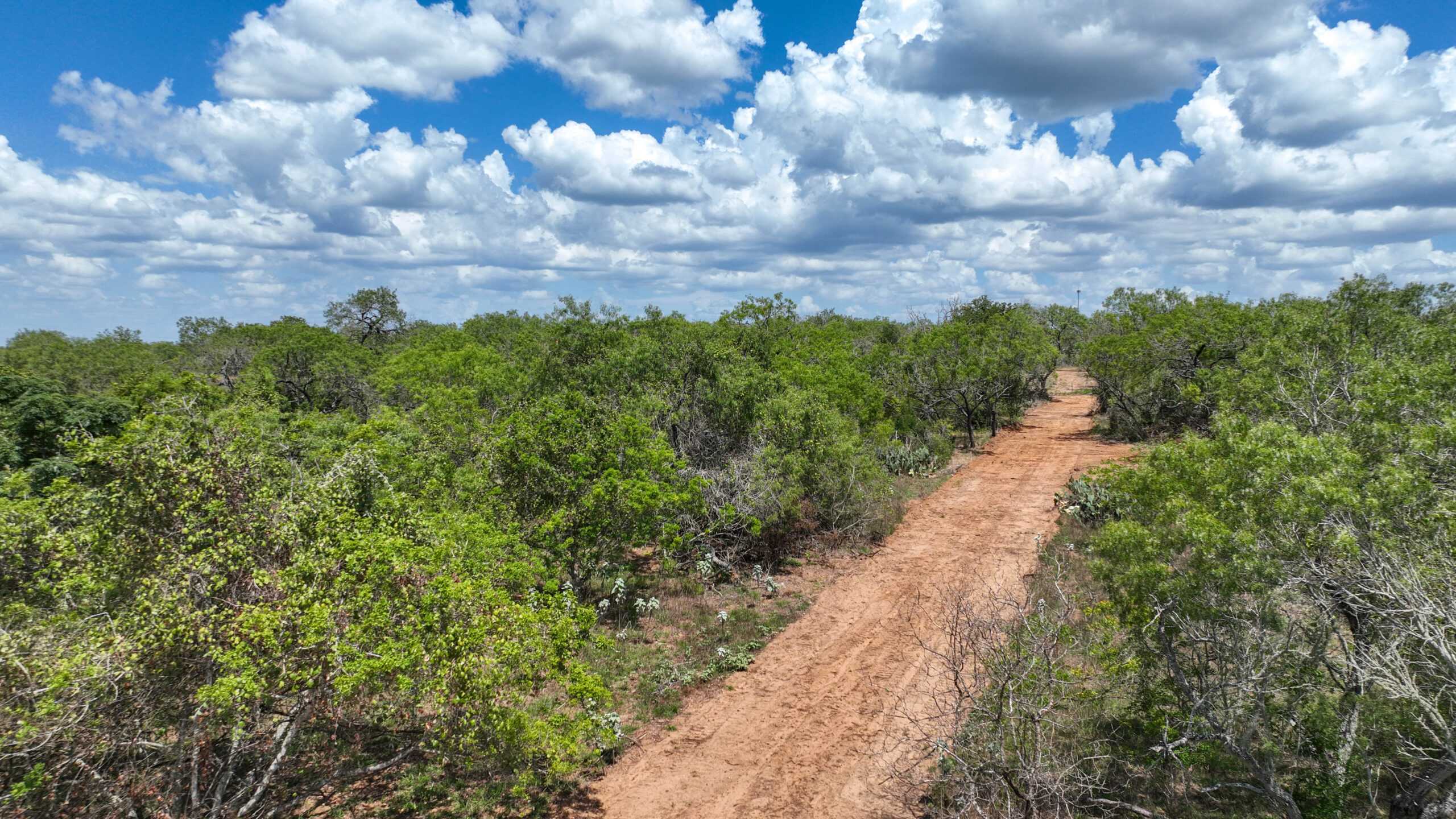 Stockdale Country Acreage