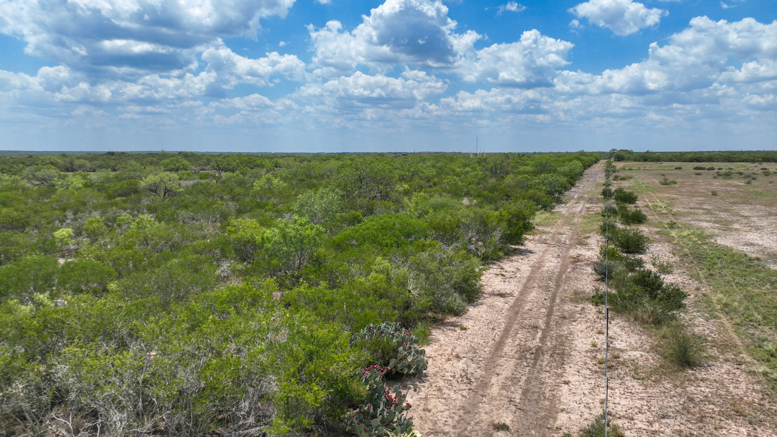 Jourdanton 23 Acre Recreational Property