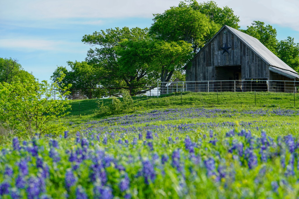East Texas land