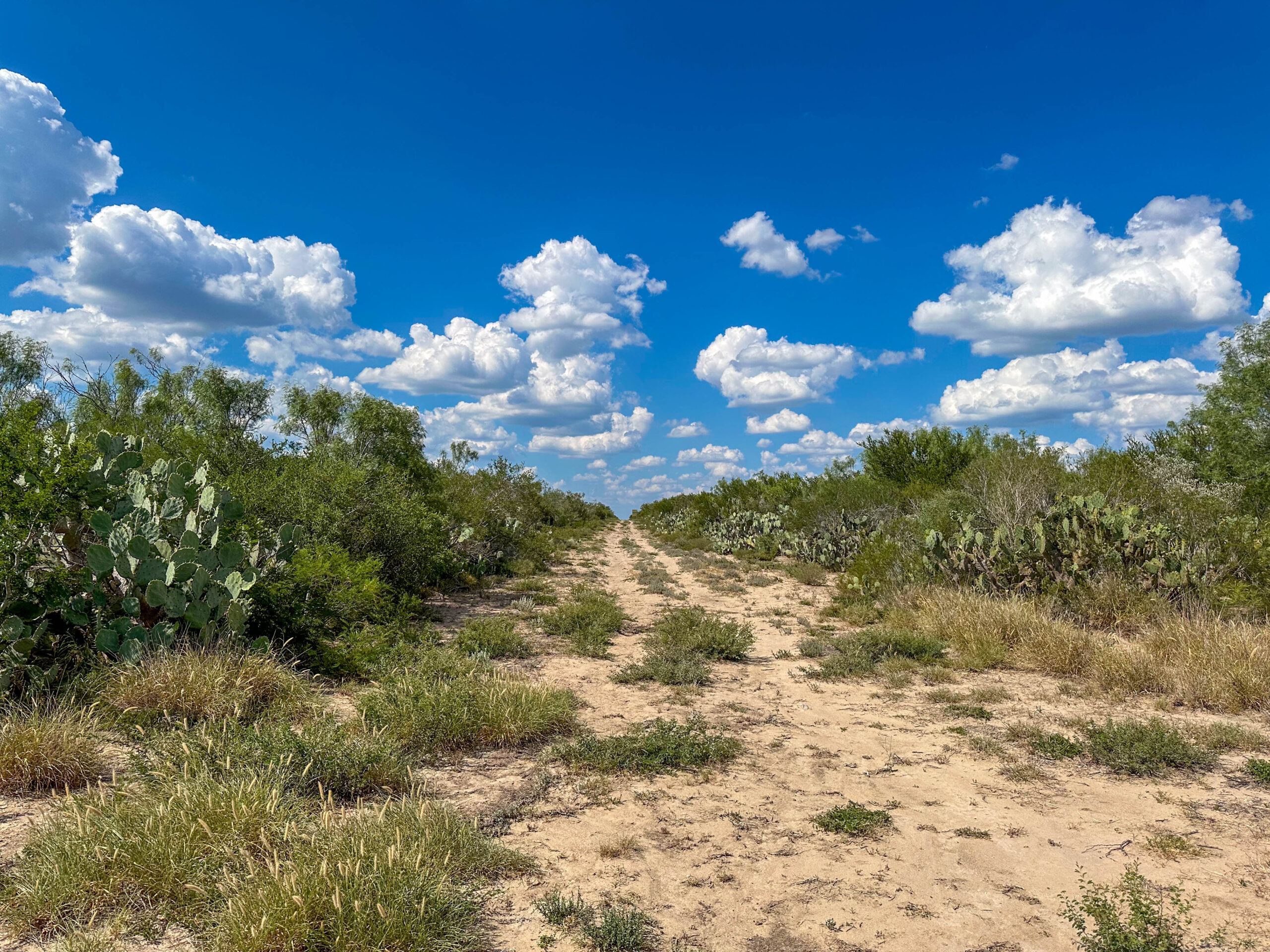 Blackbrush Hill Ranch