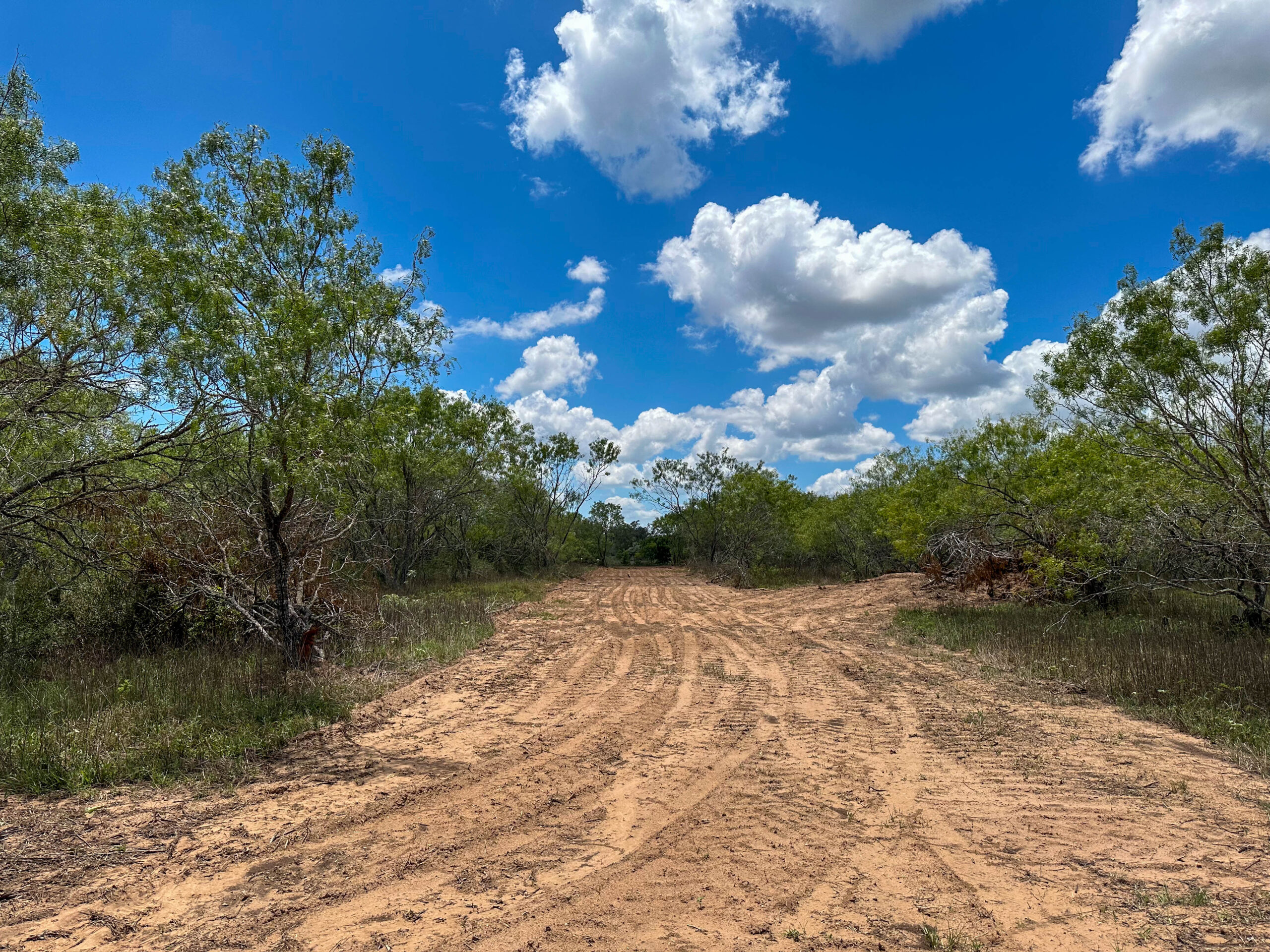 Wilson County Acreage