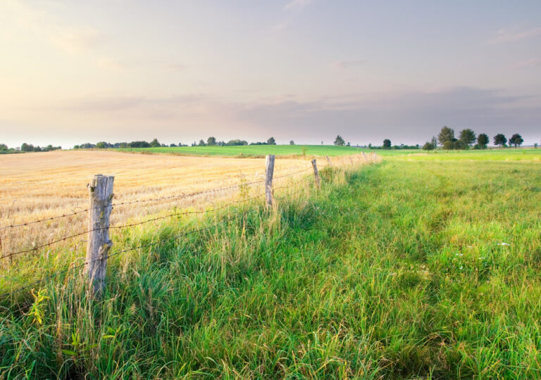 hunting ranches for sale
