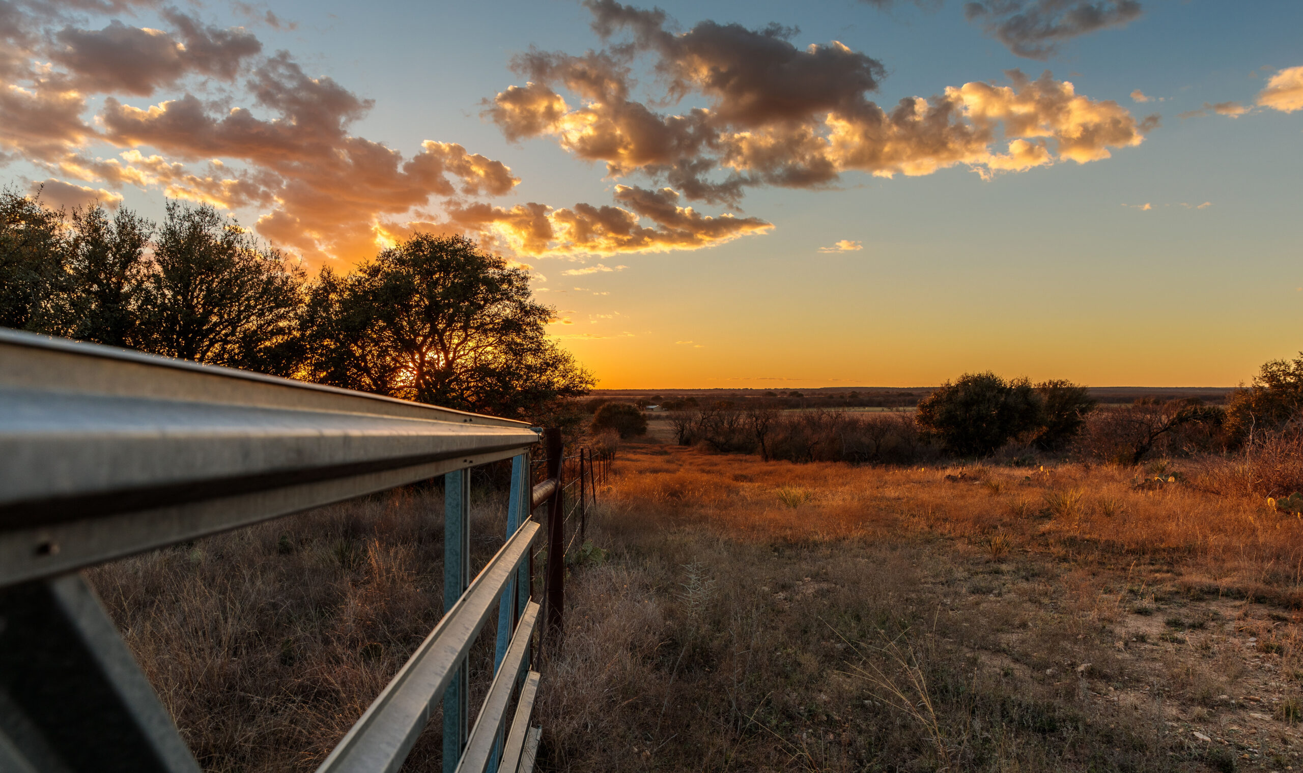 The Ultimate Guide to Texas Ranch Sales: What Every Buyer Needs to Know