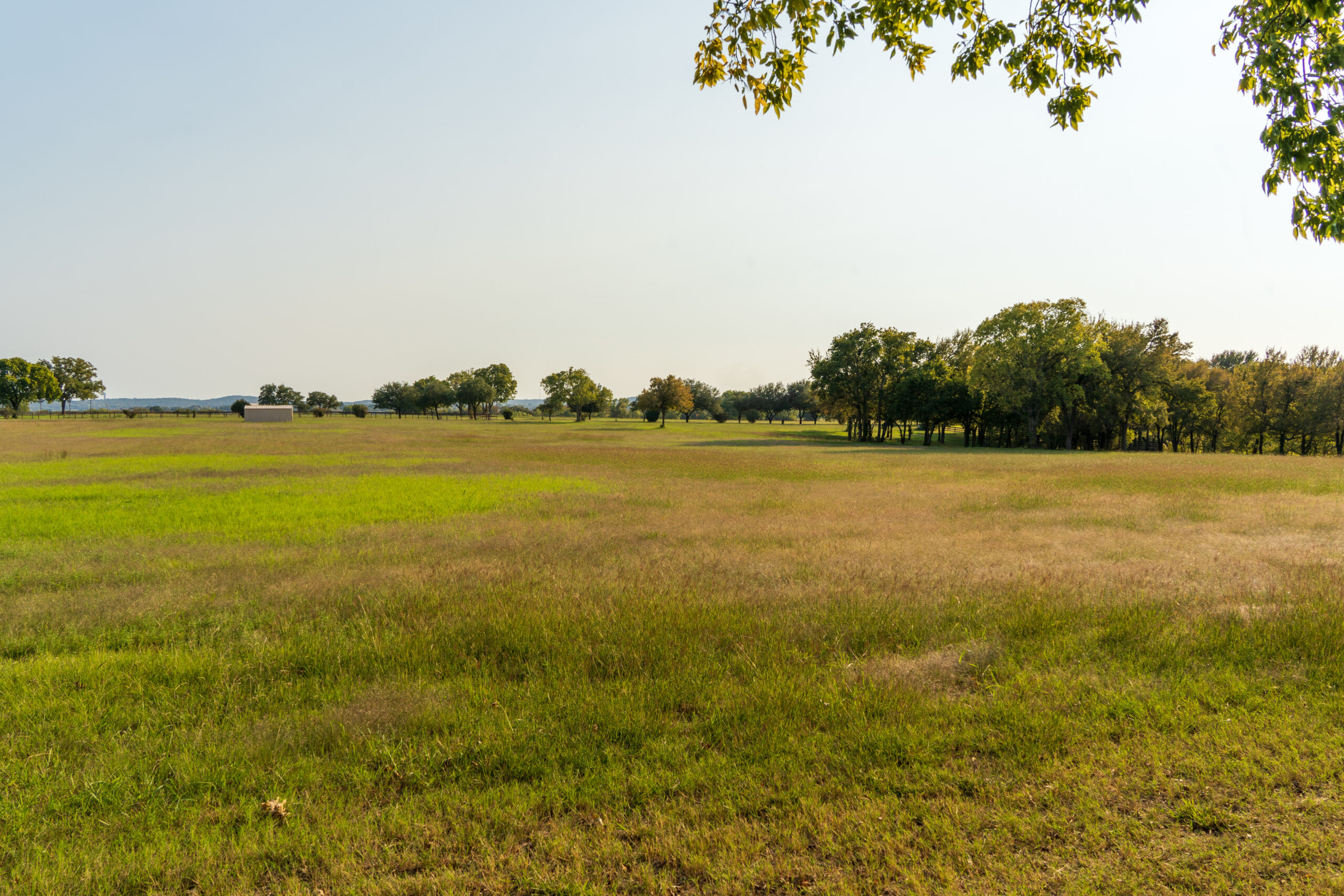 What You Need to Know About High Fence Ranches for Sale in Texas