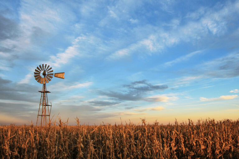 Texas Farms for Sale: Explore the Best Listings and Investment Opportunities