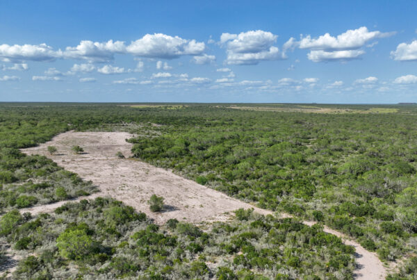 Palo Verde Ranch, a sold high fence ranch in McMullen County TX