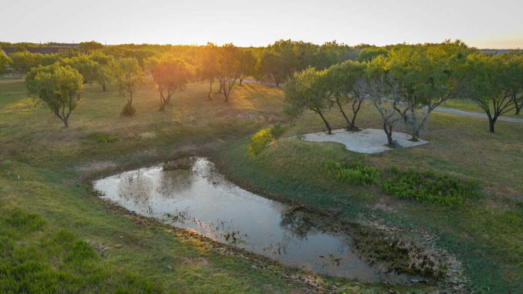 Pond on the 17 acre property near Poteet, Texas
