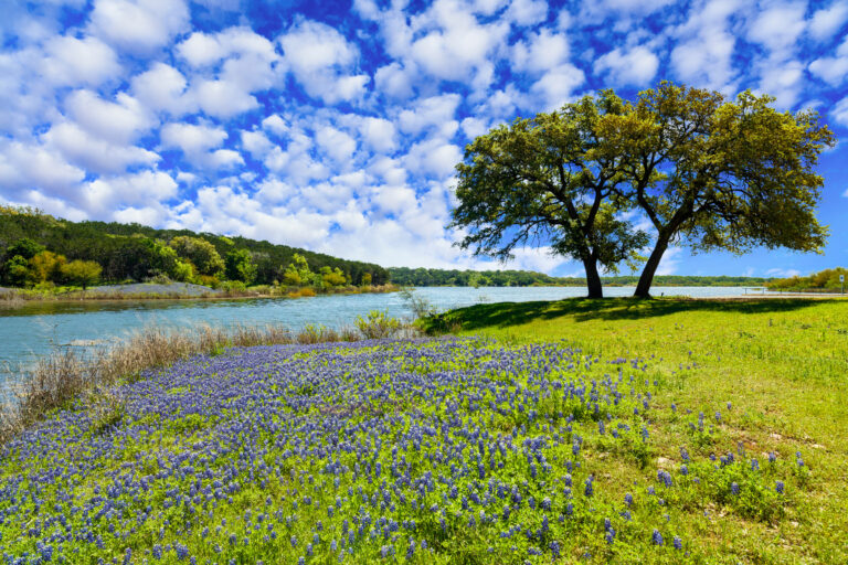 Texas Ranch Sales: Find Your Perfect Property
