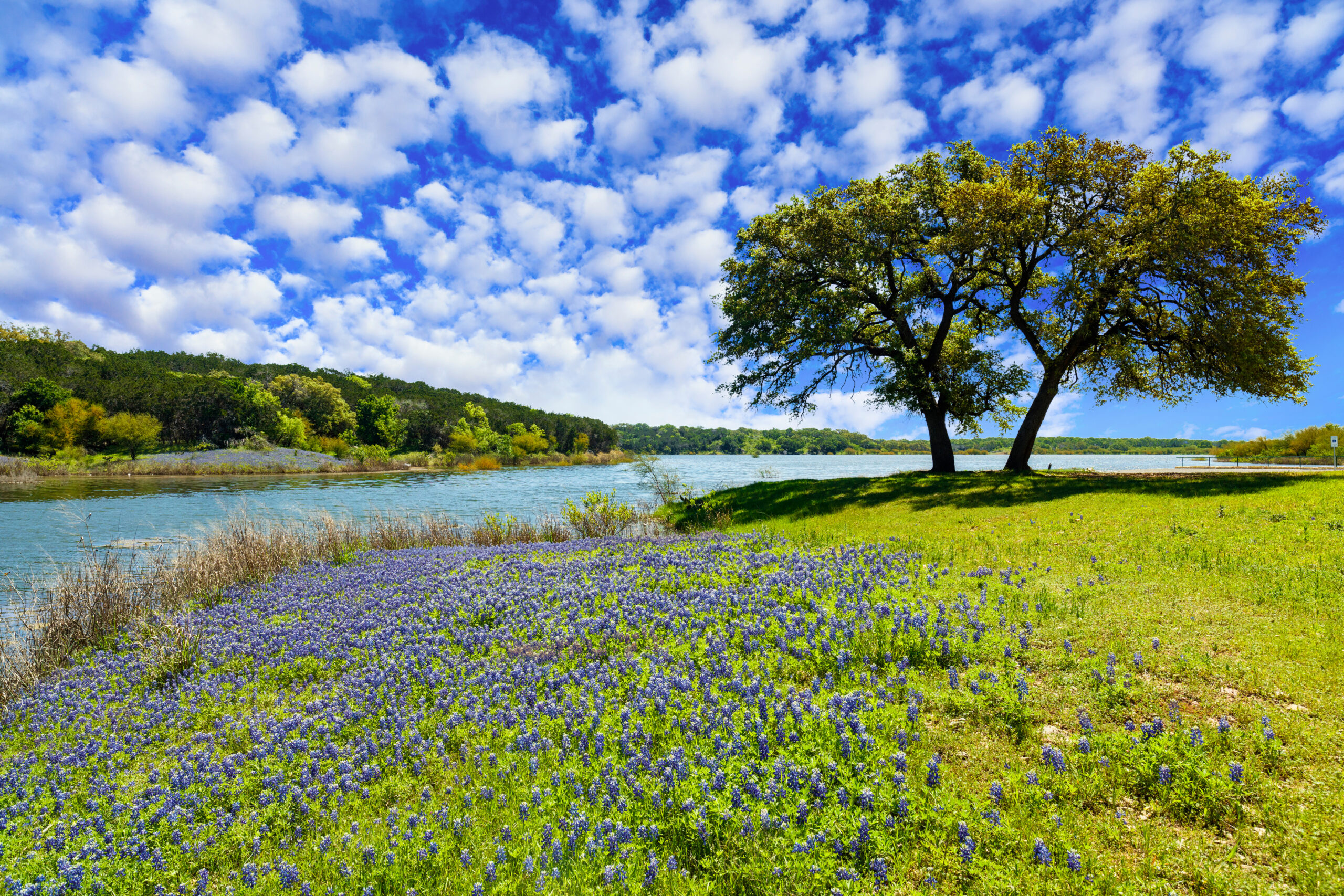 Texas Ranch Sales: Find Your Perfect Property
