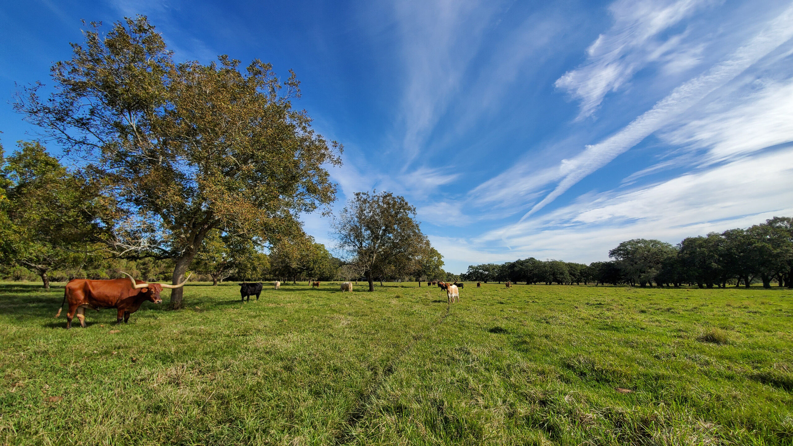 Hill Country Ranches For Sale: Find Your Perfect Texas Property Investment