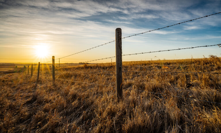 Texas Ranch Sales: Top Properties and Listings for 2025
