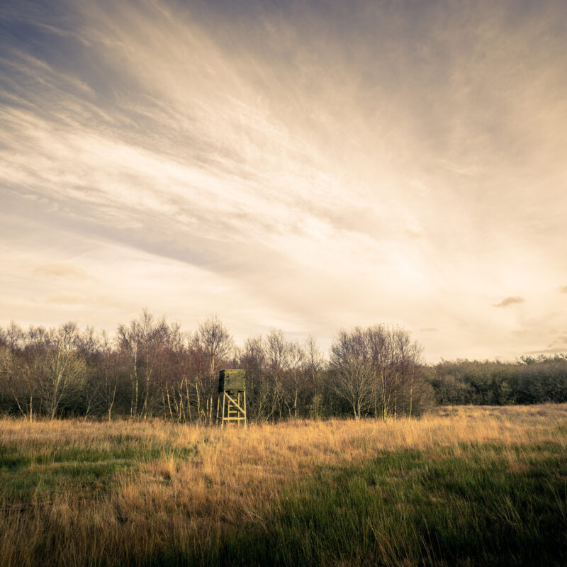 hunting land for sale in Texas