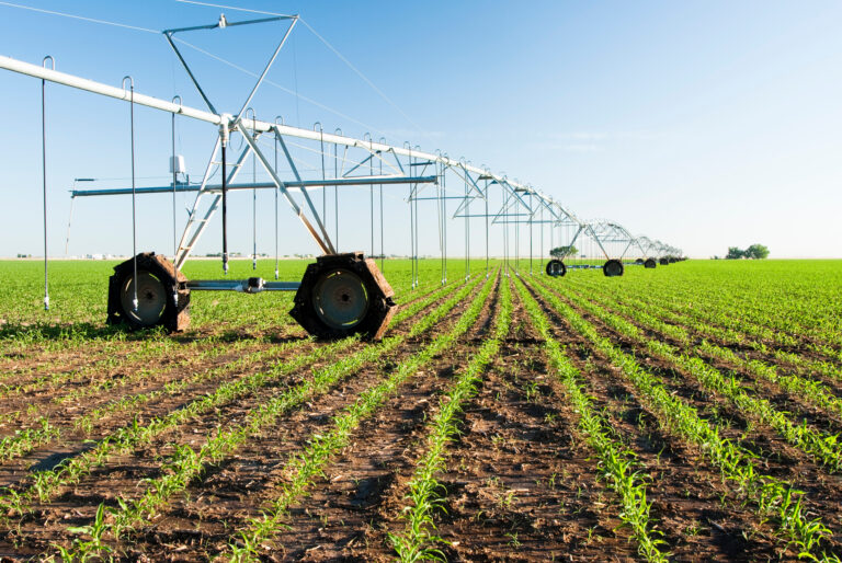 Texas Farms For Sale: Top Ranches and Land Investment Opportunities