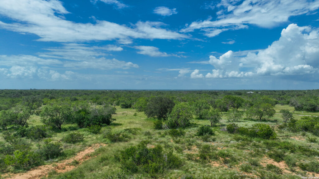 Aerial view of Jourdanton 22 in Atascosa County