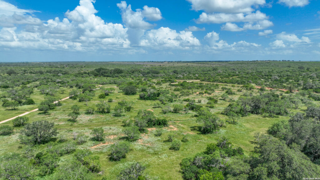 Aerial view of mesquite and brush on Jourdanton 22