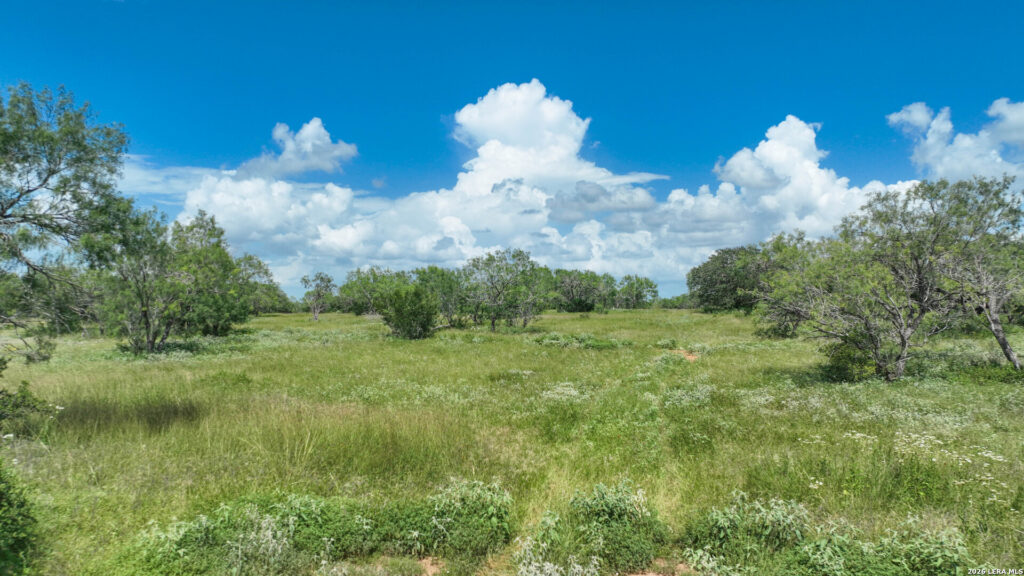 Open ground and brush on Jourdanton 22
