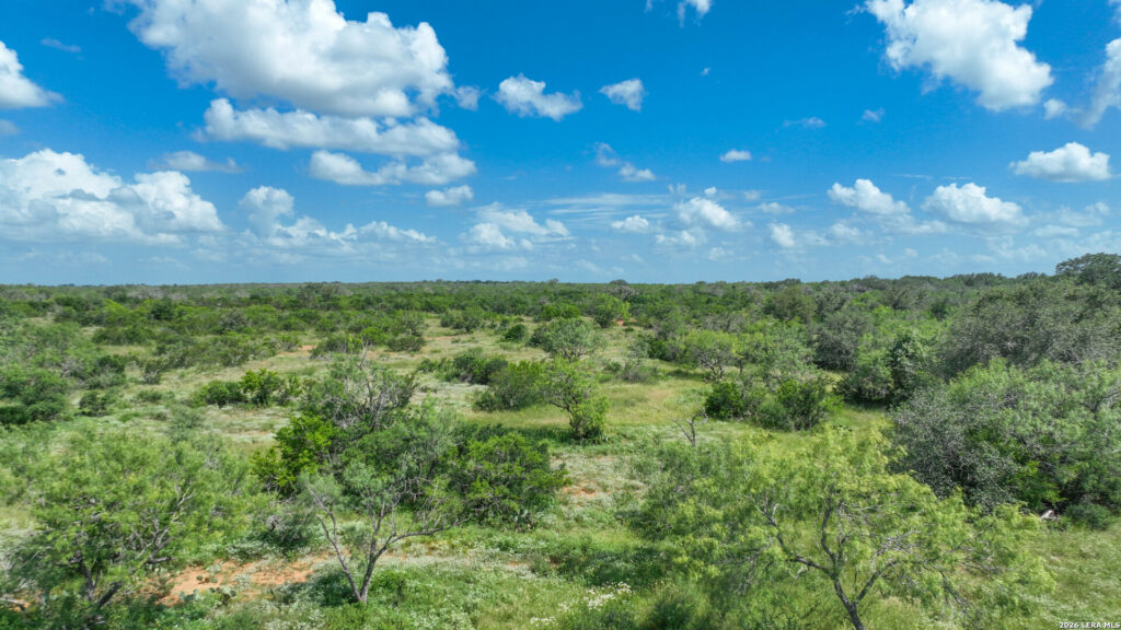 Aerial view of scattered mesquite on Jourdanton 22
