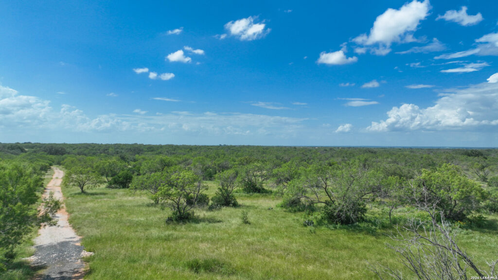 Open pasture and brush on Jourdanton 22