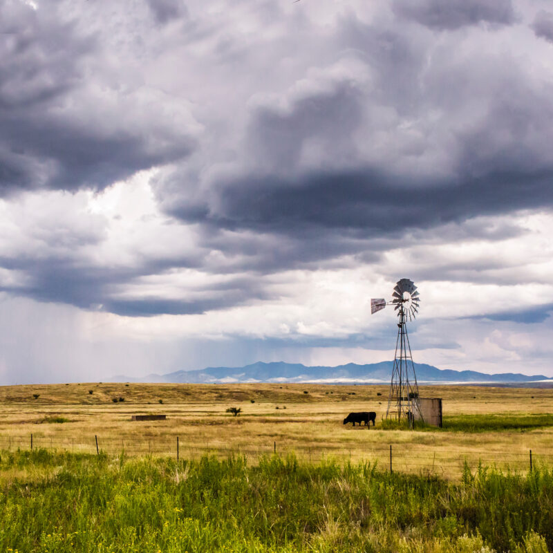 Ranches in south Texas