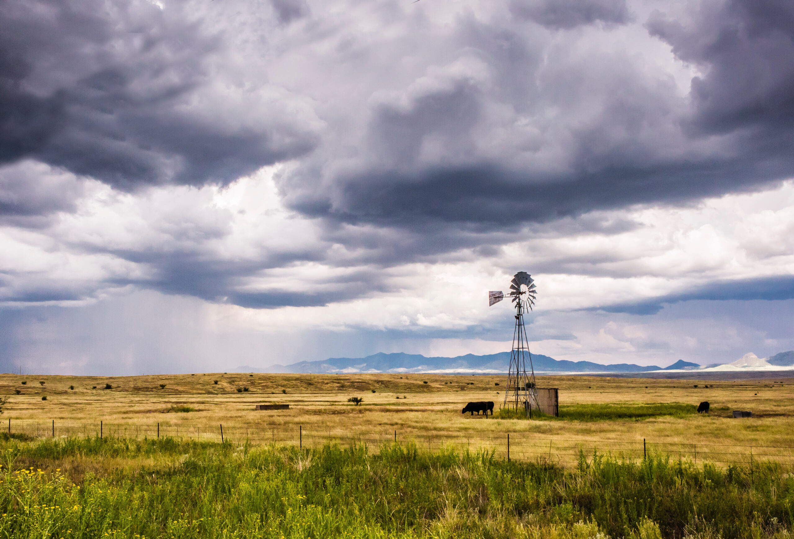 Ranches in South Texas for Sale: Large Private Properties and Investment Opportunities