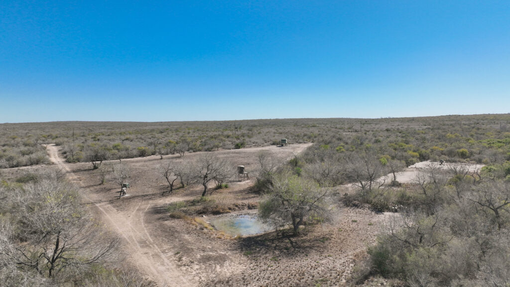 South Texas brush and pond on Valle Solitario Ranch