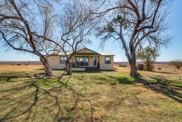Home under mesquite trees on Boyd Ranch, a sold Atascosa County ranch near Charlotte