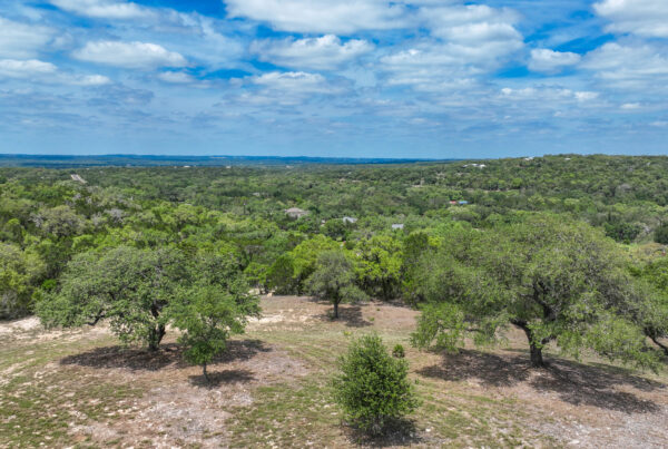 Hilltop view over live oaks from Summer Meadows Hilltop, Comal County land for sale