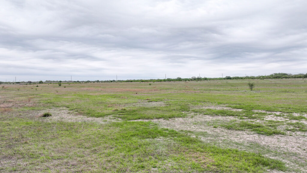 Open field on Three Rivers Development Tract in Live Oak County