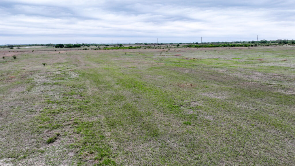 Native grass pasture on Three Rivers Development Tract