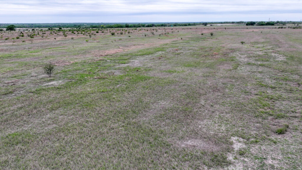 Native grasses and scattered brush on Three Rivers Development Tract