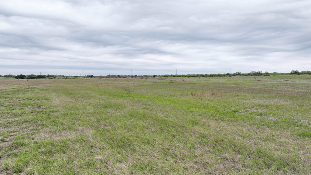 Open native pasture on Three Rivers Development Tract in Live Oak County