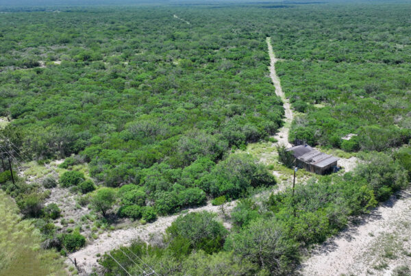 Aerial view of brush and a sendero on McMullen County hunting land for sale