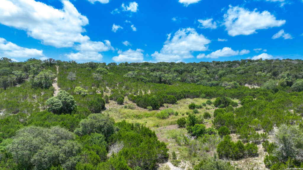 Rolling Hill Country view from Pear Tree Hilltop