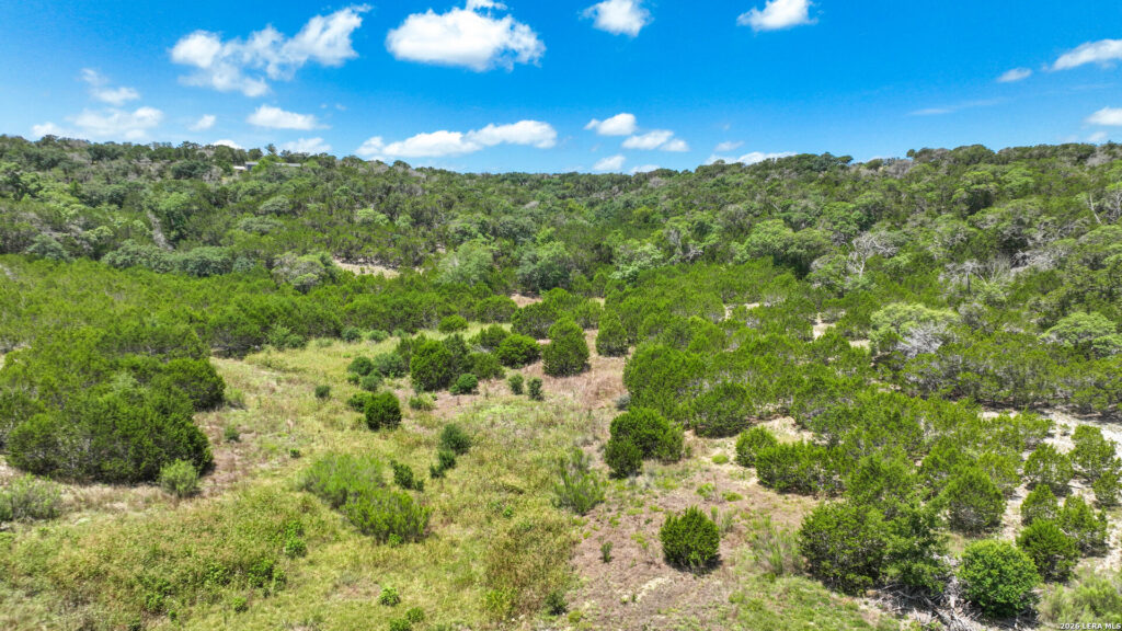 Aerial view of Hill Country brush and live oaks on Pear Tree Hilltop