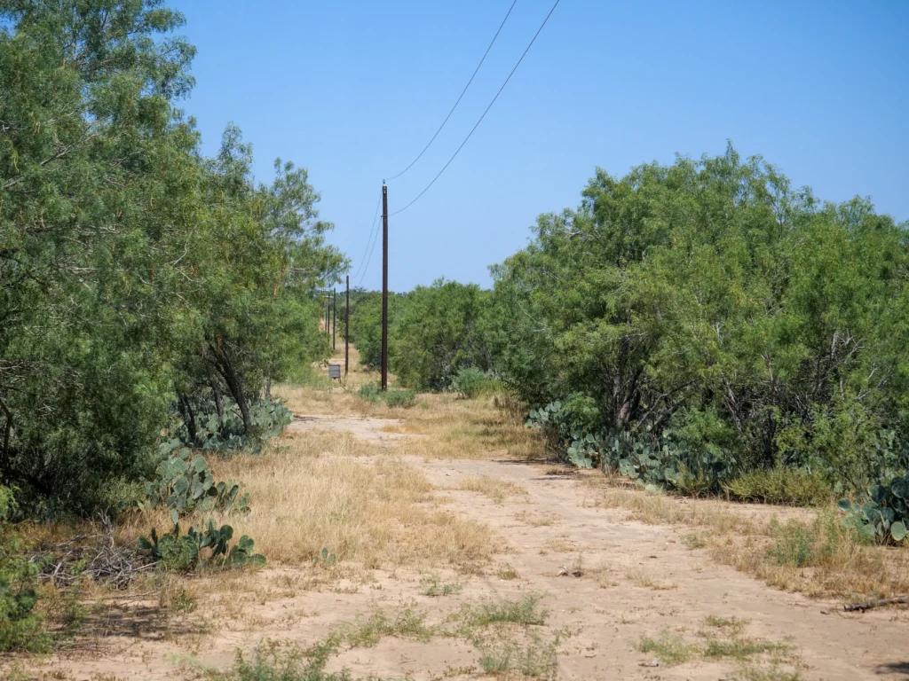 Owned driveway with electric line through the brush at Sand Branch Homestead