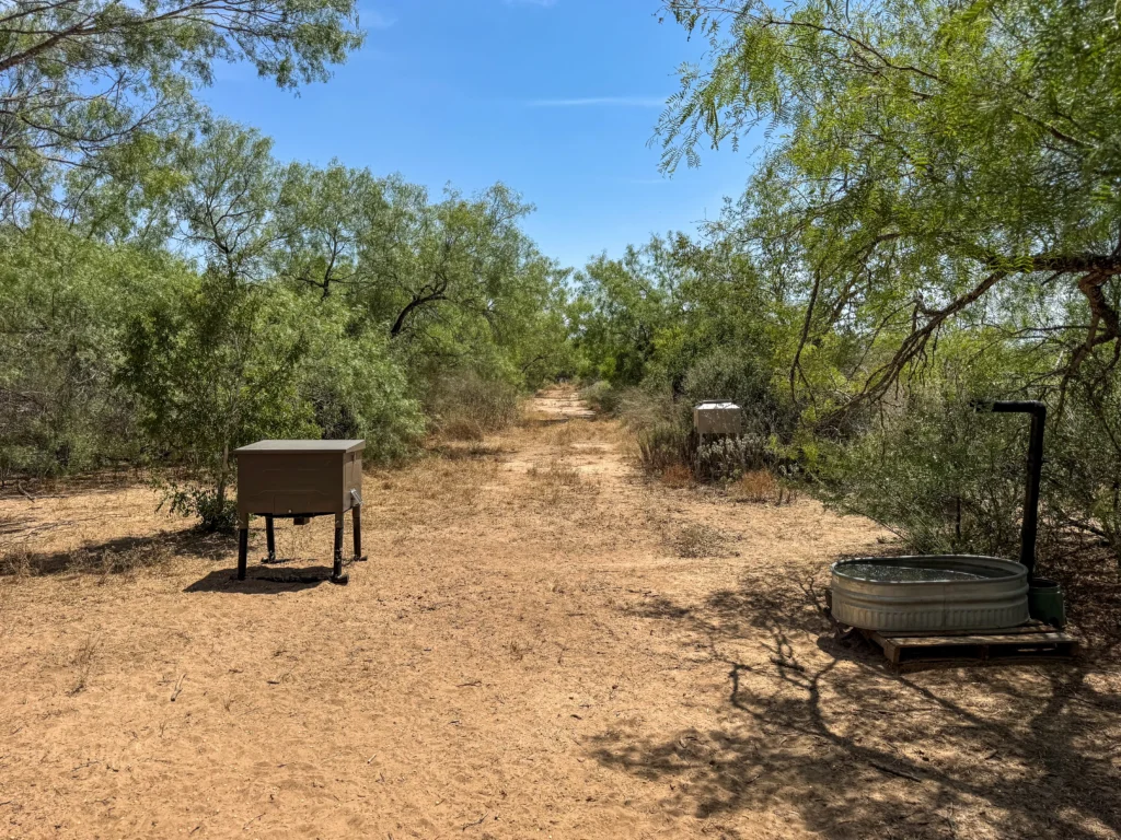 Feeder and water trough at the edge of a sendero at Sand Branch Homestead