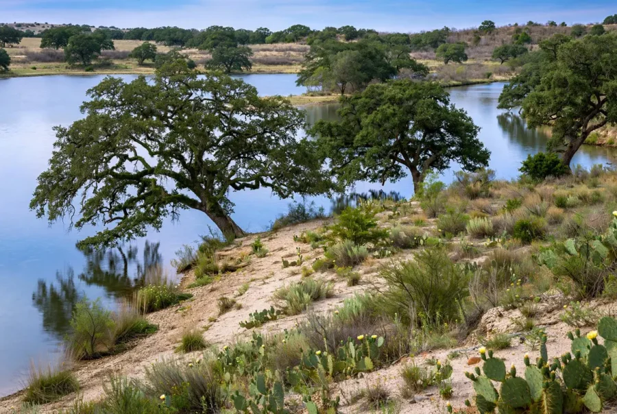 Lake shoreline with oak trees on North Texas waterfront land