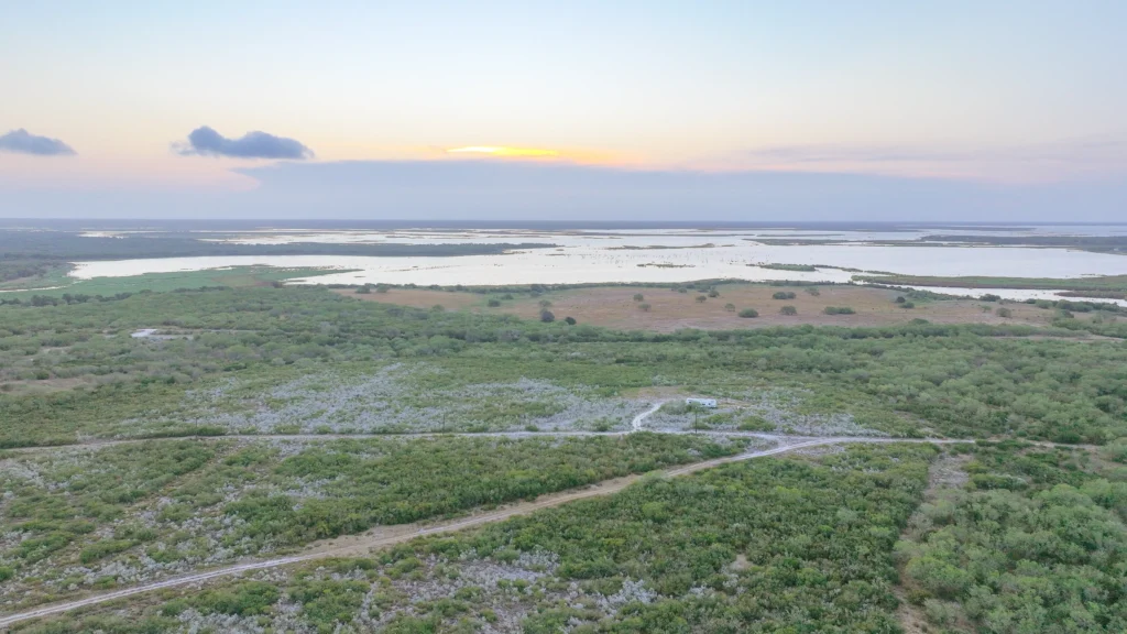 50 acres in live oak county texas