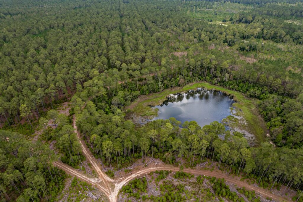 Aerial view of a pond in pine timber on East Texas land