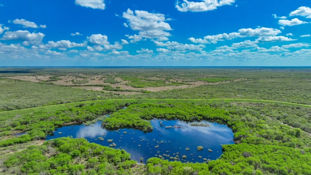 Aerial view of a pond and South Texas brush on the 813-acre Jim Wells County ranch