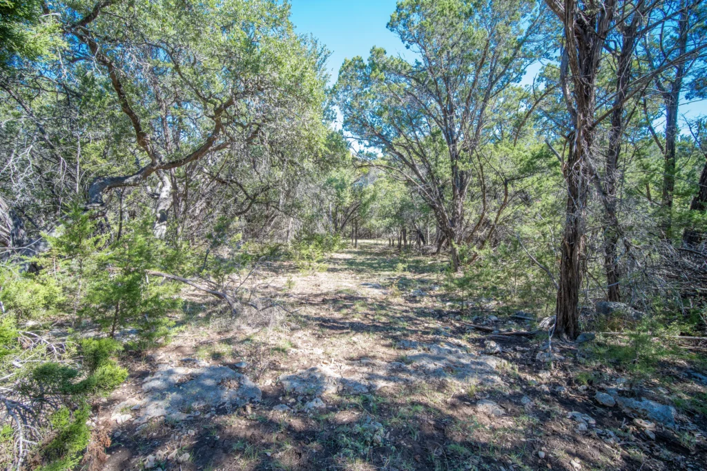 Trail through mature oaks on Stiller Bach South