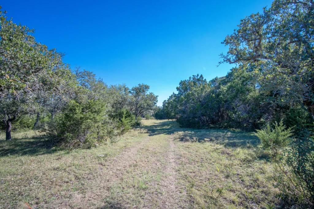 Mowed trail through cedar and oaks on Stiller Bach South