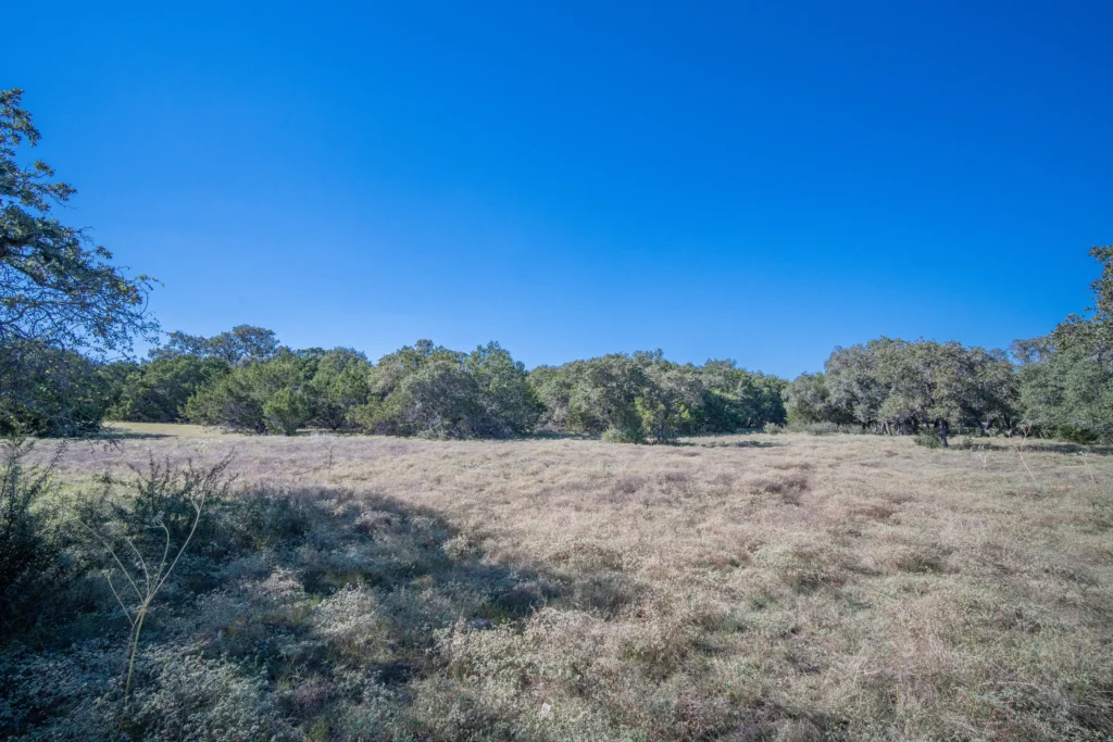 Open grassy clearing with a live oak tree line on Stiller Bach South