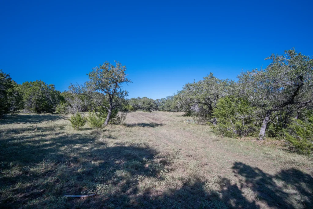 Grassy clearing with scattered oaks on Stiller Bach South